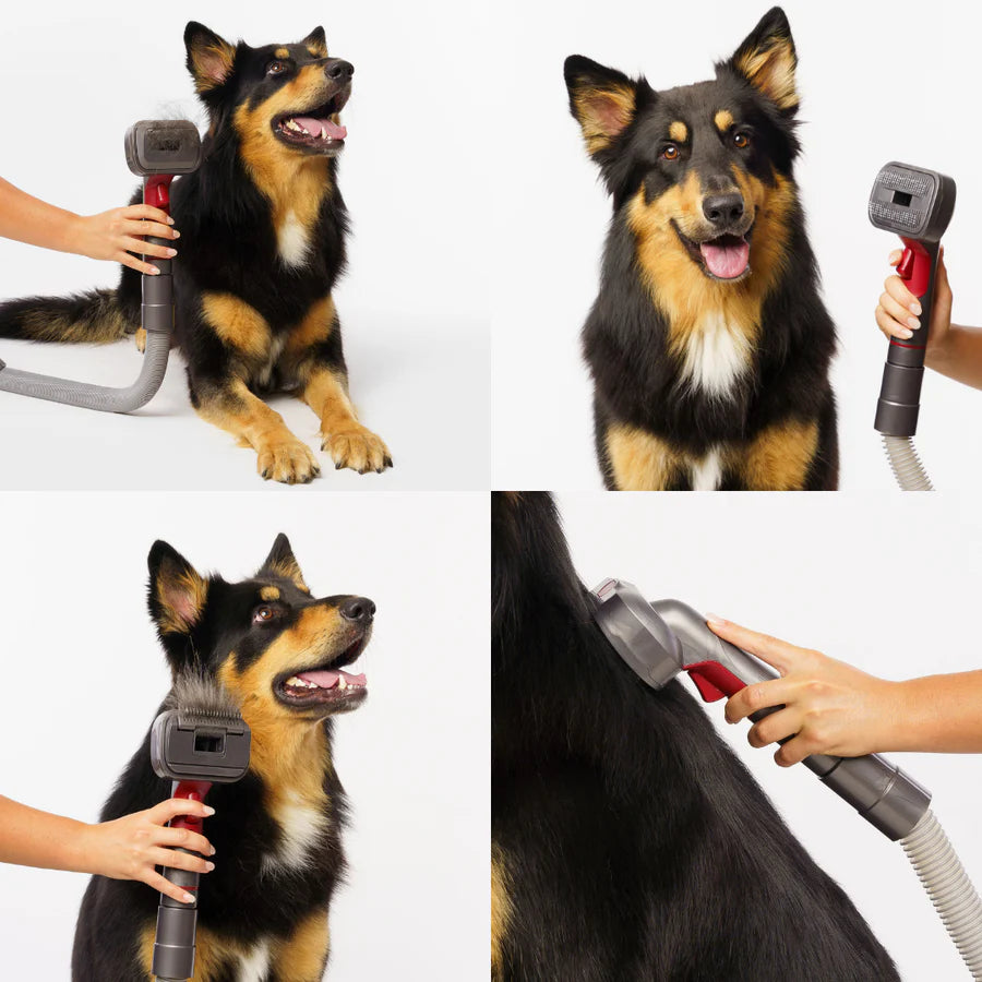 Pet Grooming Kit for Vacuum