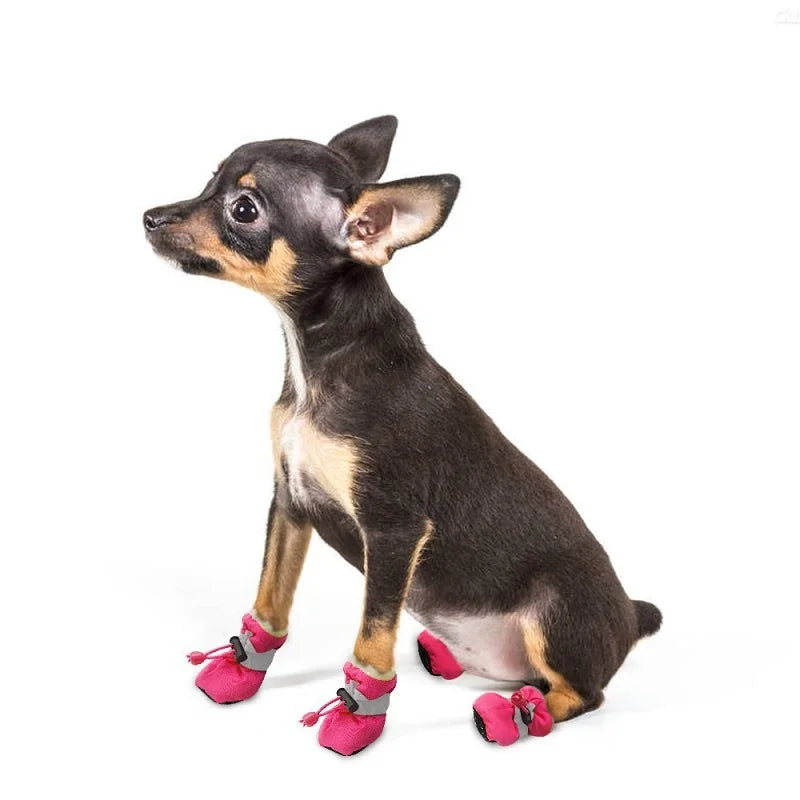 Dogs Shoes