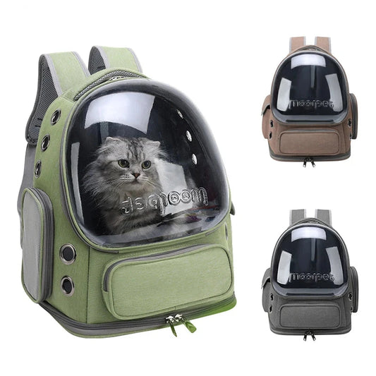 glass Cat backpack