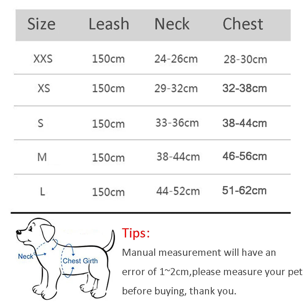 Little Explorer Dog Harness Set