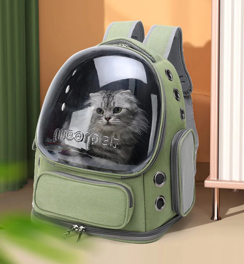 glass Cat backpack