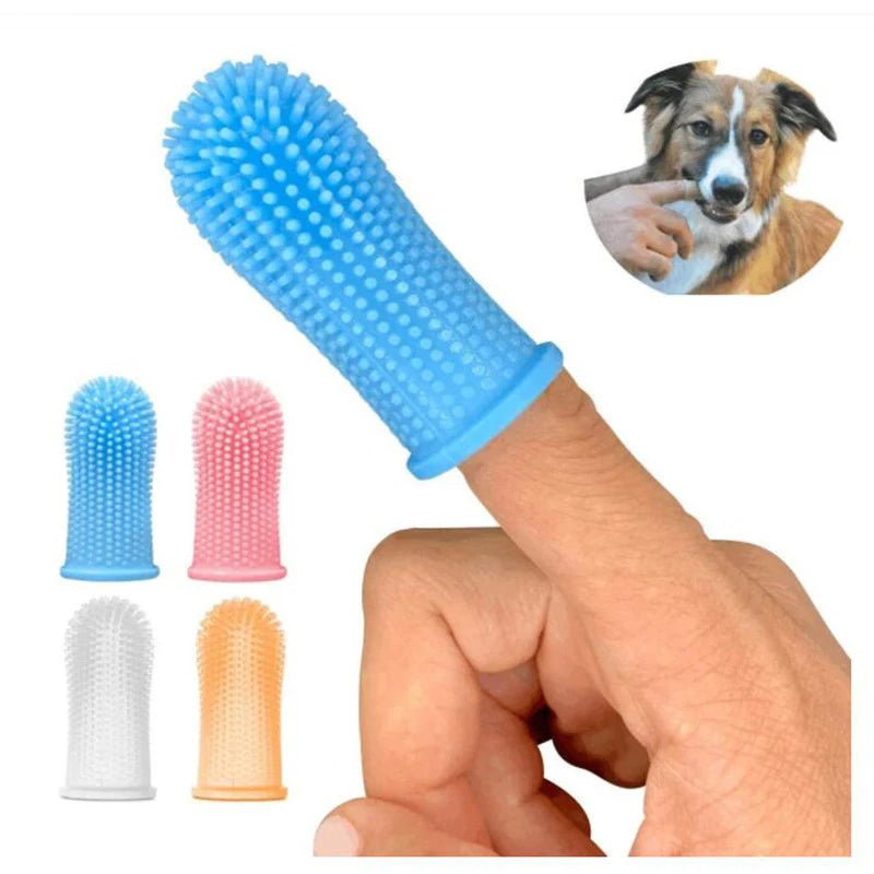 toothbrush