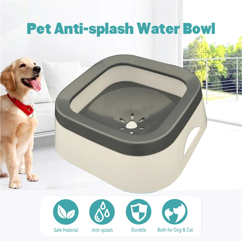 A-splash Water Bowl