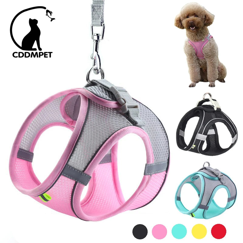 Little Explorer Dog Harness Set