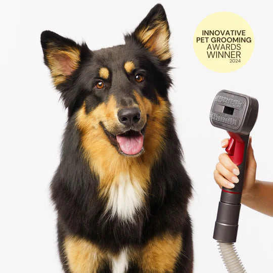 Pet Grooming Kit for Vacuum